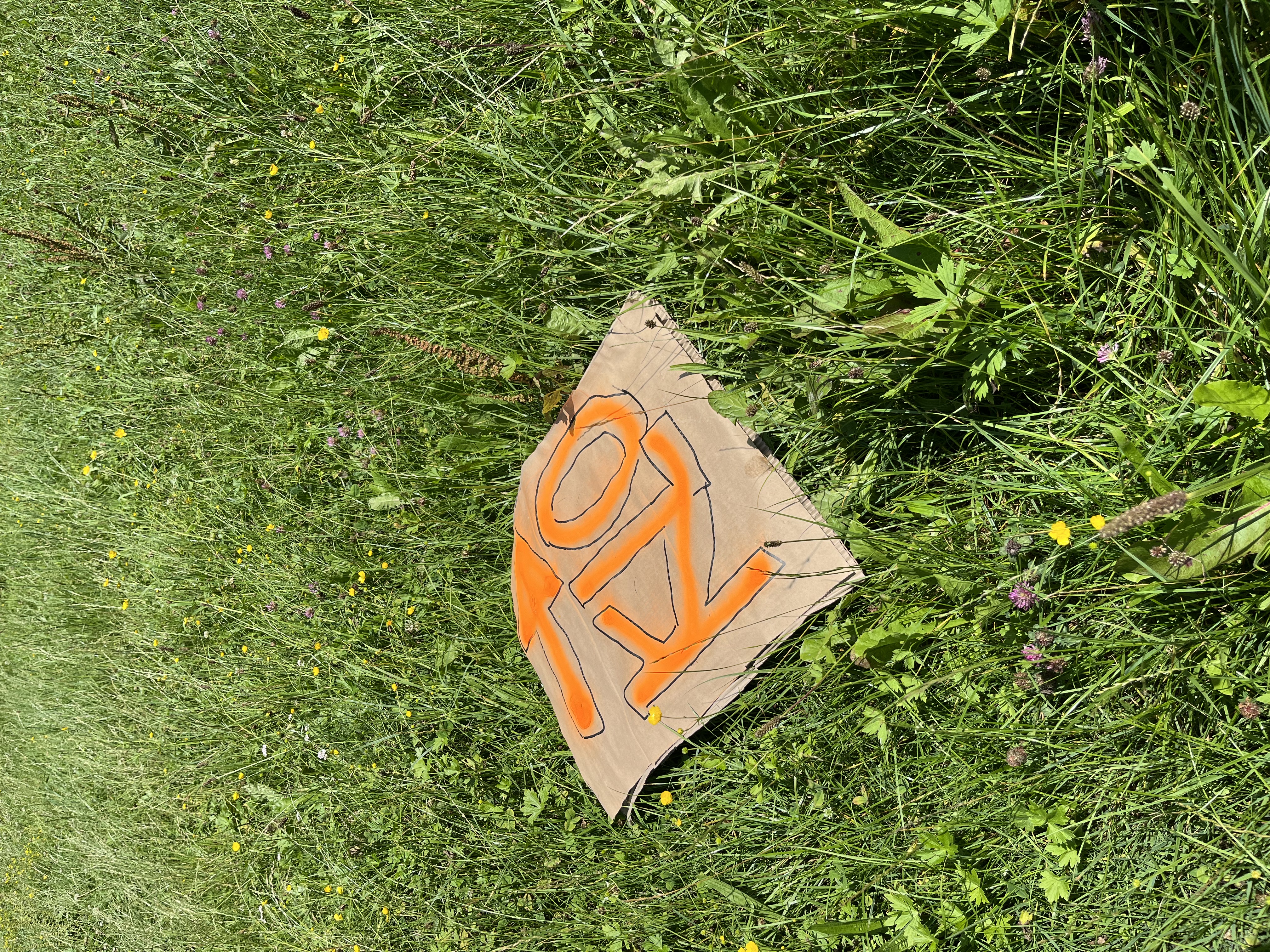 toilet_sign